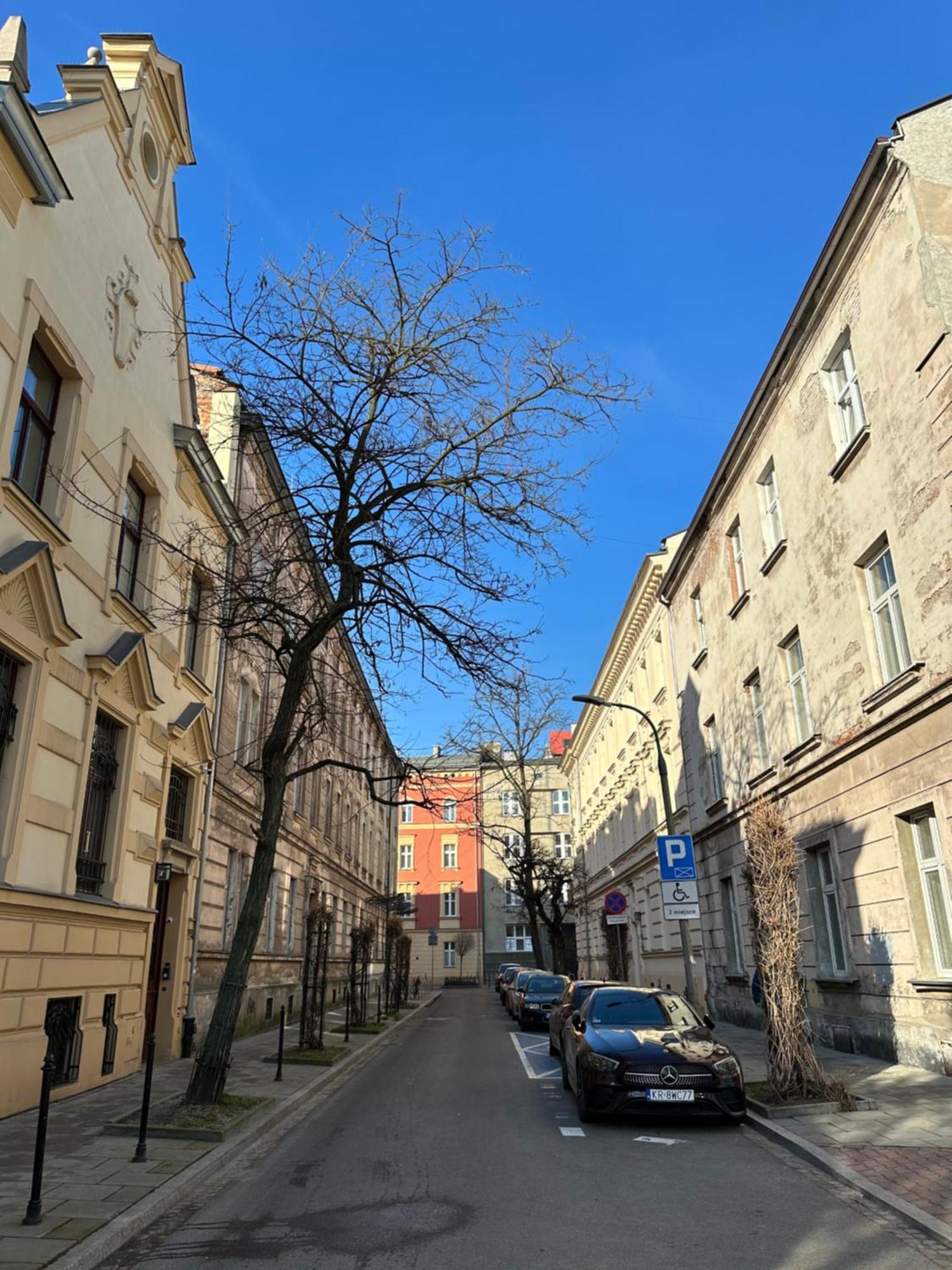 Perfect Place To Stay In Krakow City Center 28M2 W1 מראה חיצוני תמונה